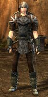 Mercenary human male heavy 4.jpg