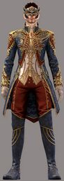 Noble Courtier Outfit