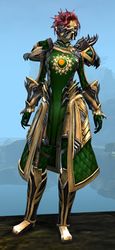 Ornate Guild armor (medium) sylvari female front.jpg