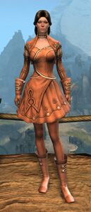 Appearance on light armor.
