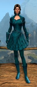 Appearance on light armor.