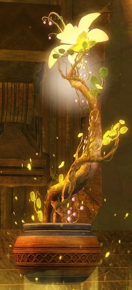 File:Sylvari Potted Plant.jpg