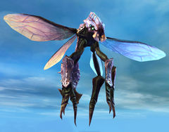 Wasp.jpg