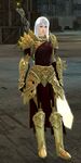 Aerodrome Mercenary human female 6.jpg