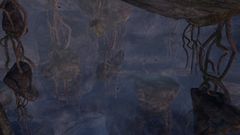 Behem Gauntlet (jumping puzzle).jpg
