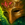 Illustrious Masque.png