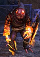 Molten Protector.jpg