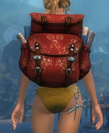 Ornate Tailor's Backpack.jpg