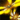 Seraph Wings Backpack and Glider Combo.png