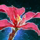 Terebinth Flower.png