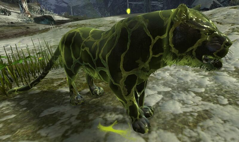 File:White Tiger (unleashed).jpg
