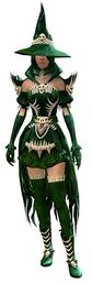 Witch's Outfit