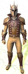 Alliance Field Operative armor human male front.jpg