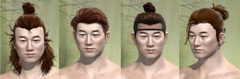 Human male hair styles 3.jpg