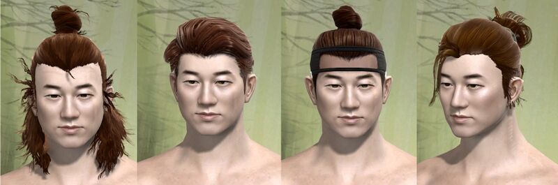 File:Human male hair styles 3.jpg