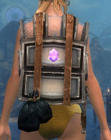 Intricate Jeweler's Backpack.jpg