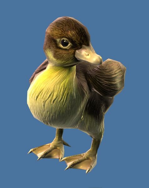 File:Mini Duckling.jpg