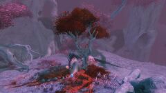 Mosyn's Repose.jpg