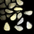 Sesame Seed.png