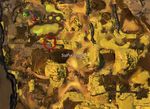Sulfur-Worn Coin 4.jpg