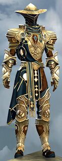 Ward Knight's armor sylvari male front.jpg