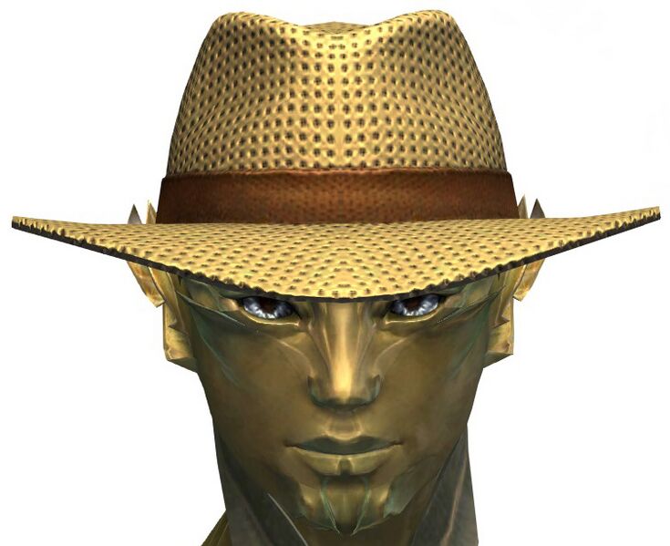 File:Beach Hat sylvari male.jpg