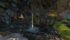 Champions Insight- Caledon Forest.jpg