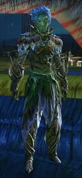 Council Cook.jpg