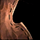 Cured Thin Leather Square.png