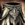 Draconic Legs.png