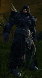 Explorer Johan.jpg