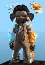Frostfire Outfit