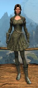 Appearance on light armor.