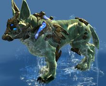 Mini Aqua Jackal Pup.jpg