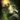 Mist Lord's Torch.png