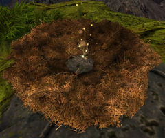 Nest (object).jpg