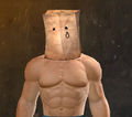 Paper Bag Helm Skin (Sad)