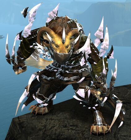 Front view in combat stance