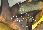 Rock Collector (Firestone 32 map).jpg
