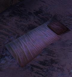 Sleeping Mat.jpg