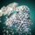 Snowflake Glider.png