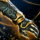Ward Hunter's Gloves.png