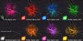 Agony Lens colors as shown in game.