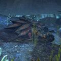Underwater location for the Heads up! achievement
