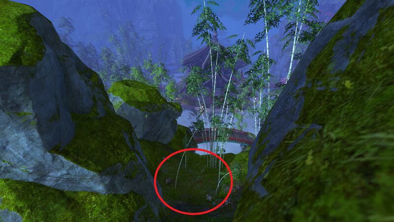 File:Juvenile White Tiger Location 2.jpg