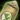 Leek Seed Pouch.png