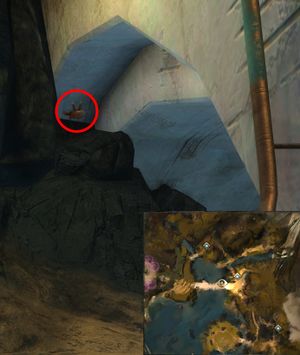 Lion's Arch Exterminator 22.jpg