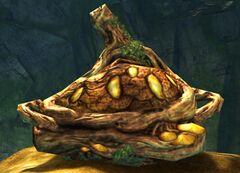 Sylvan Chest.jpg
