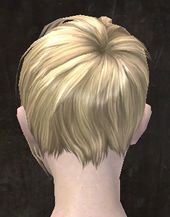 Unique human female hair back 6.jpg
