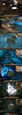 Thumbnail for version as of 00:18, 18 November 2012